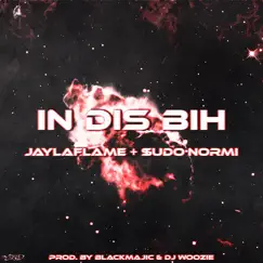 In Dis Bih - Single by Jaylaflame & $uDO.NORMI album reviews, ratings, credits