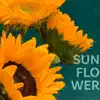 Sunflower - Single album lyrics, reviews, download