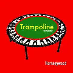 Trampoline (Instrumental Version) Song Lyrics