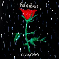 Bed of Thorns by Cuddledrug album reviews, ratings, credits