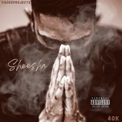 Sheesha (feat. 40K) - Single by PackzProjectz album reviews, ratings, credits