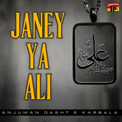 Ik Pyasey Par Shamsheer Chali Song Lyrics