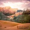 Road to St. Tranquility (feat. Gidi Derzy, Rene Mayr & Ido Maimon) - Single album lyrics, reviews, download