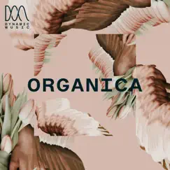 Organica by John William album reviews, ratings, credits