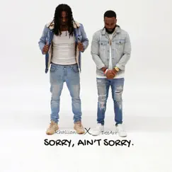 Sorry, Ain't Sorry (Radio Edit) by Khallion & DeeArr album reviews, ratings, credits