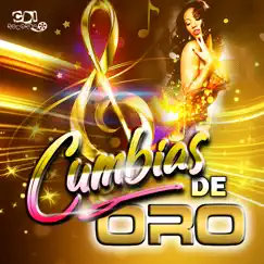 Cumbias de Oro #1 by CDI RECORDS S.A., Cumbias Para Bailar & Cumbias Viejitas album reviews, ratings, credits