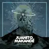 La Raíz del Viento - Single album lyrics, reviews, download