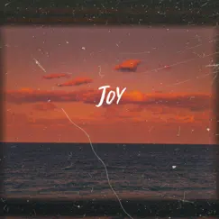 Joy - Single by Lil Used & Bearsun album reviews, ratings, credits