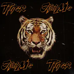 Tiger - Single by Jim;Me album reviews, ratings, credits