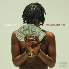Freedom Ain't Free by SENSEI ALLAH album reviews, ratings, credits