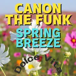 Canon And Gigue In D Major, P.37 No.1 Canon(canon The Funk) Song Lyrics