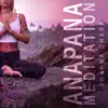 Anapana Meditation album lyrics, reviews, download