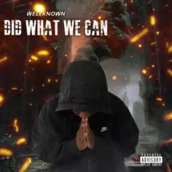 Did What We Can - Single by Wellknown album reviews, ratings, credits