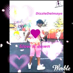 Slow It Down - Single by Dizzle De’mayo album reviews, ratings, credits