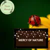Mercy of Nature album lyrics, reviews, download