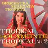 Tropical Solamente Tropical Vol.2 album lyrics, reviews, download