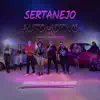Sertanejo Automotivo 1.0 (feat. Dj Hunter) - Single album lyrics, reviews, download