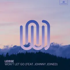 Won't Let Go (feat. johnny joined) - Single by Leisse album reviews, ratings, credits