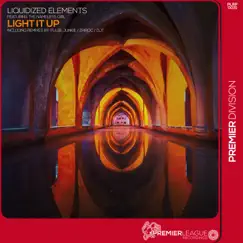 Light It Up by The Nameless Girl & Liquidized Elements album reviews, ratings, credits