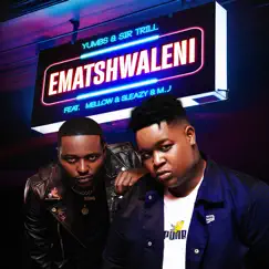 Ematshwaleni (feat. Mellow & Sleazy & M.J) - Single by Yumbs & Sir Trill album reviews, ratings, credits