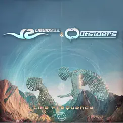 Life Frequency - Single by Liquid Soul & Outsiders album reviews, ratings, credits