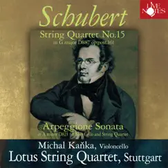 Schubert Arpeggione Sonata in A minor D821 for Solo Cello and String Quartet II. Adagio Song Lyrics