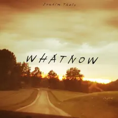 What Now - EP by Joakim Theis album reviews, ratings, credits