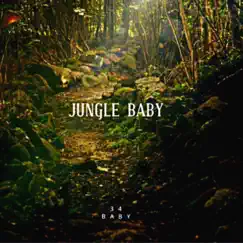 Jungle Baby - Single by 34 Baby album reviews, ratings, credits