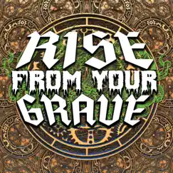 Fate (Single) by Rise from Your Grave album reviews, ratings, credits