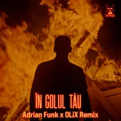 În Golul Tău (Adrian Funk x OLiX Remix) - Single by The Motans album reviews, ratings, credits
