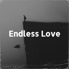 Endless Love (Acoustic Instrumental) - Single by Achref Roubhi album reviews, ratings, credits