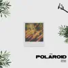 Polaroid - Single album lyrics, reviews, download