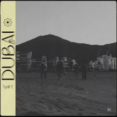 Dubai - Single by XPIRT album reviews, ratings, credits