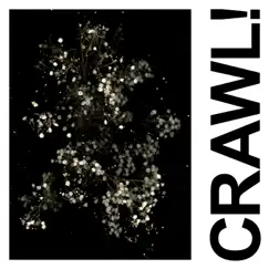 Crawl! (DGG Edit) - Single by IDLES album reviews, ratings, credits