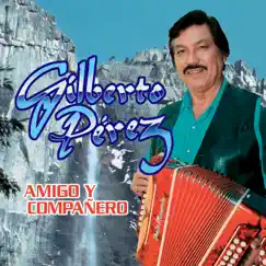 Amigo y Compañero by Gilberto Perez album reviews, ratings, credits