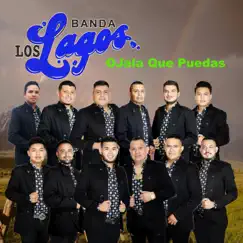 Ojalá Que Puedas - Single by Banda Los Lagos album reviews, ratings, credits