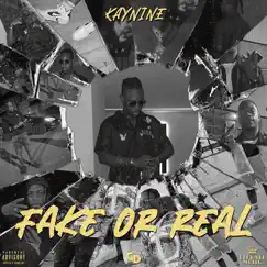 Fake or Real - Single by Kaynine album reviews, ratings, credits