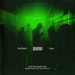 Wow - Single by Tomb & NateTaylorr album reviews, ratings, credits