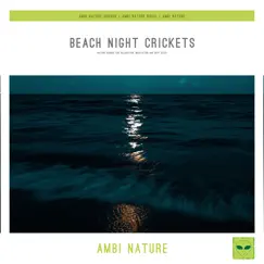 Beach Night Crickets (Nature Sounds for Relaxation, Meditation and Deep Sleep) by Ambi Nature Sounds, Ambi Nature Radio & Ambi Nature album reviews, ratings, credits