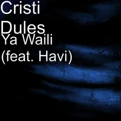 Ya Waili (feat. Havi) - Single by Cristi Dules album reviews, ratings, credits
