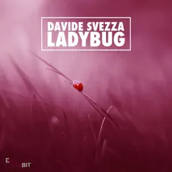 Ladybug - Single by Davide Svezza album reviews, ratings, credits