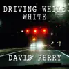 Driving While White - Single album lyrics, reviews, download