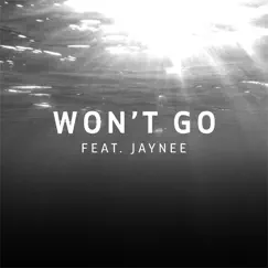 Won't Go (feat. Jaynee) - Single by Royalston album reviews, ratings, credits