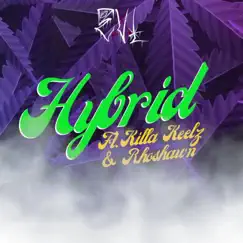 Hybrid (feat. Killa Keelz & Rhoshawn) - Single by EVL album reviews, ratings, credits