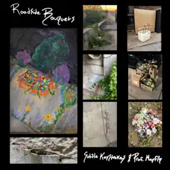 Roadside Bouquets - Single by Subtle Keystrokes & Prof. Mayfly album reviews, ratings, credits