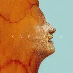 Sapling (feat. Rag'n'Bone Man) [Jonasu Remix] - Single by Foy Vance album reviews, ratings, credits