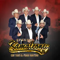 Gracias - Single by Efecto Kamaleones Con Todo El Poder Norteño album reviews, ratings, credits