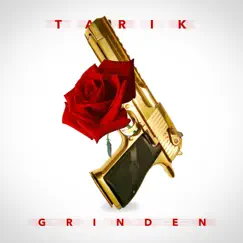 Grinden - Single by Tarik album reviews, ratings, credits