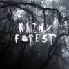 Rainy Forest - Single album lyrics, reviews, download