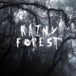 Rainy Forest - Single by North Wind album reviews, ratings, credits